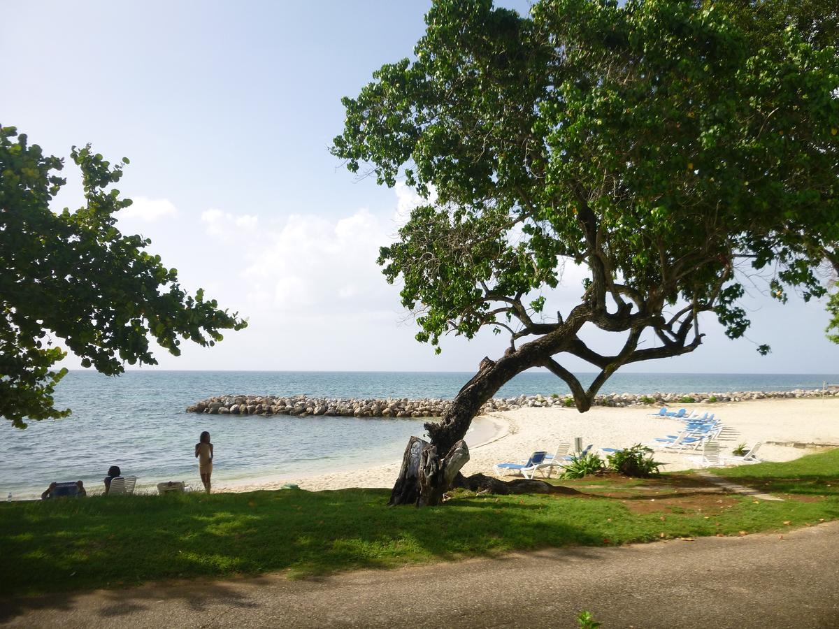 Point Village Studio Negril Exteriér fotografie